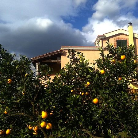 Su Canonigu Agriresort Тортоли Экстерьер фото
